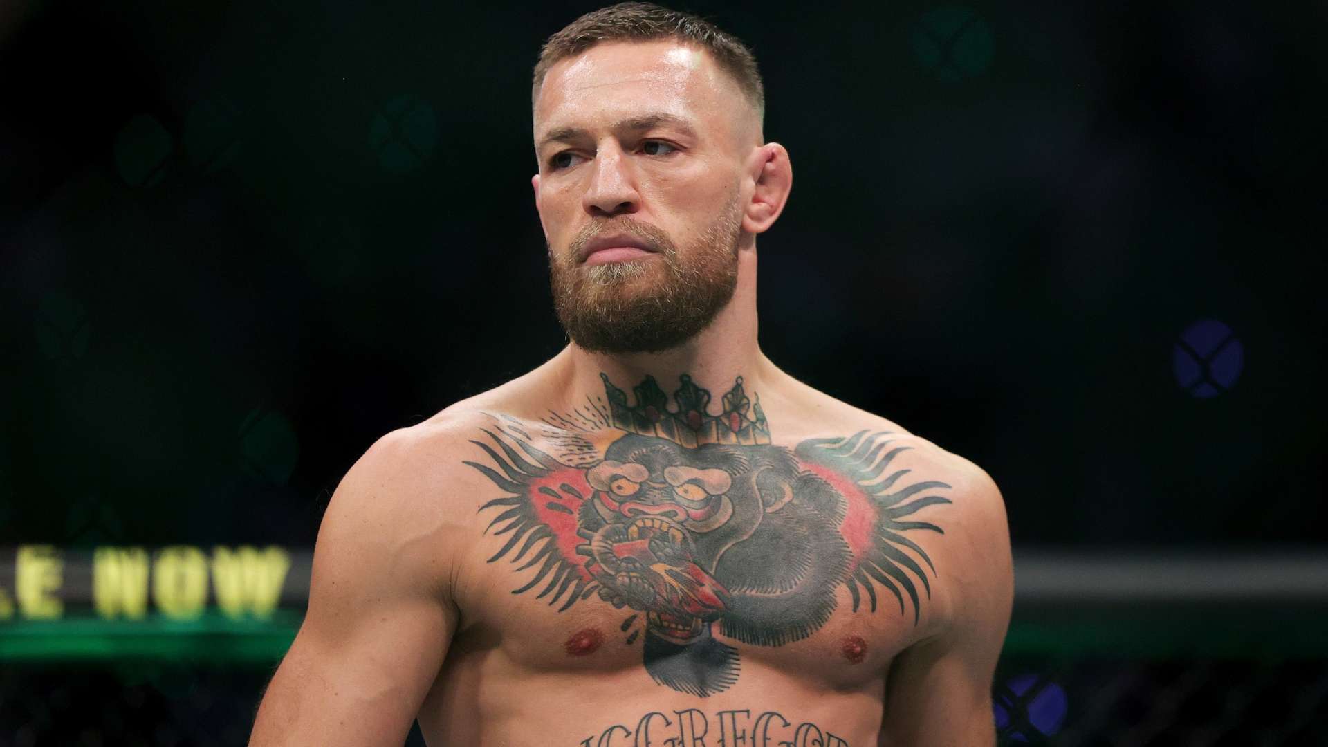 申花将在本 申花将在本